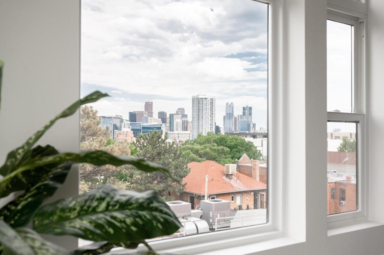 A Modern Point Of View - Luxe Loft - Espadin Lohi DEN Dış mekan fotoğraf